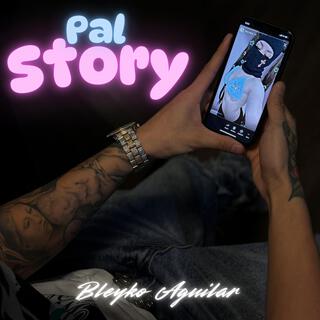 Pal Story