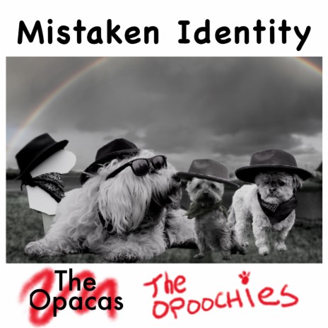 Mistaken Identity | Boomplay Music