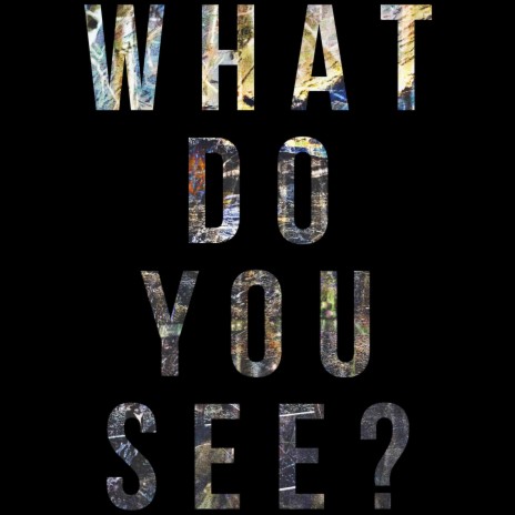 WHAT DO YOU SEE?