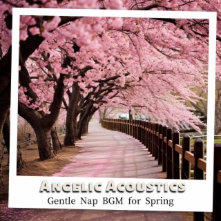 Gentle Nap Bgm for Spring