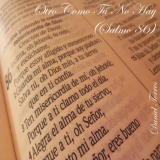 Otro Como Tú No Hay (Salmo 86) lyrics | Boomplay Music
