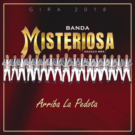 Arriba la Pedota | Boomplay Music