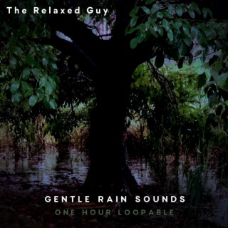 Gentle Rain Sounds