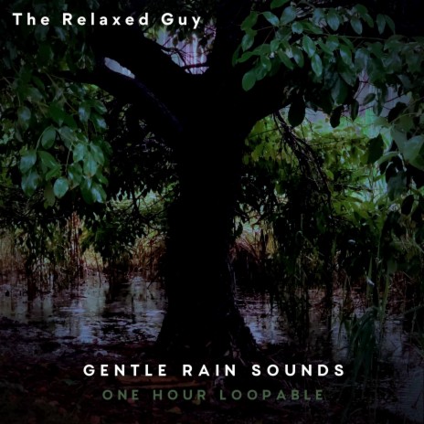 Gentle Rain Sounds | Boomplay Music