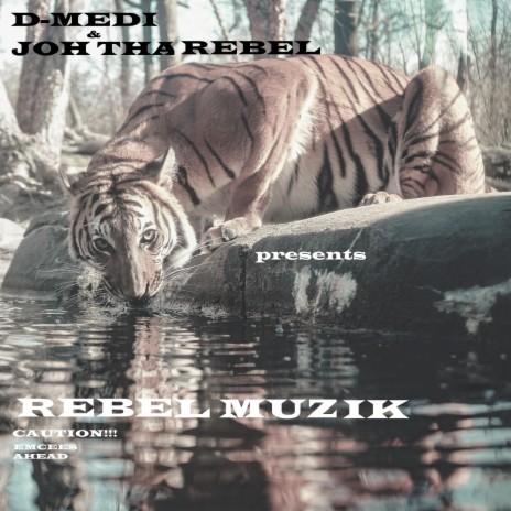 Rebel Muzik (feat. Joh Tha Rebel) | Boomplay Music
