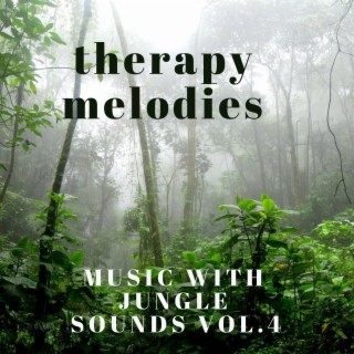 MUSIC WITH JUNGLE SOUNDS, Vol. 4