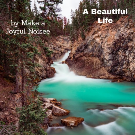 A Beautiful Life | Boomplay Music