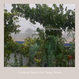 Tropical Storm for Deep Sleep