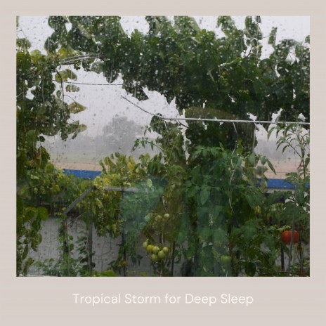 Stormy Therapy ft. Thunderstorms, Gentle Thunderstorms for Sleep, Thunderstorm for Sleep, Rain Shower & Rainforest