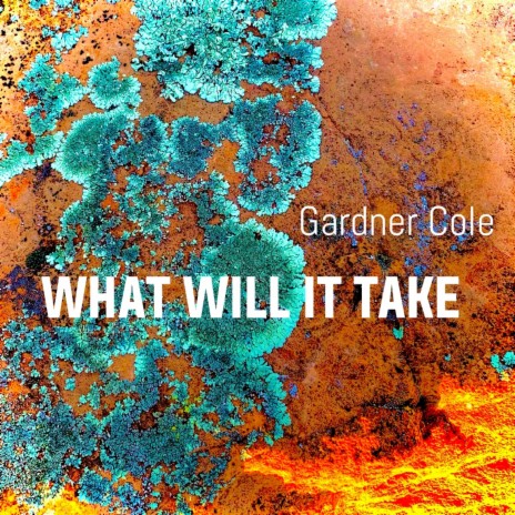What Will It Take (Single Version) | Boomplay Music