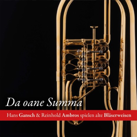 Zwoa schneeweiße Täubalan (Remastered) ft. Reinhold Ambros | Boomplay Music