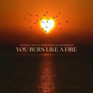 You Burn Like A Fire