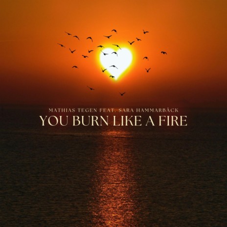 You Burn Like A Fire ft. Sara Hammarbäck | Boomplay Music