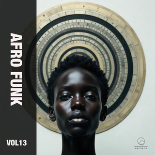 Afro Funk, Vol. 13