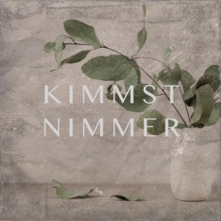 Kimmst nimmer lyrics | Boomplay Music