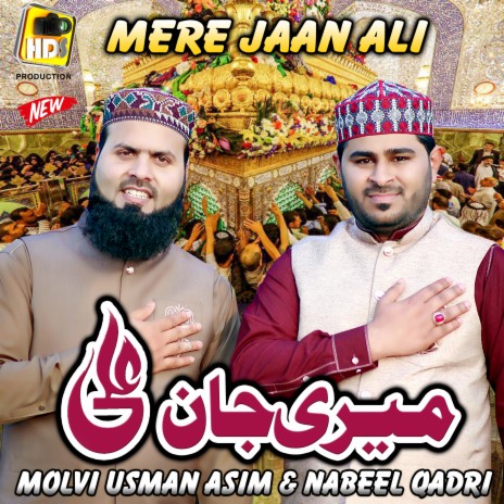 Mere Jaan Ali ft. Nabeel Qadri | Boomplay Music