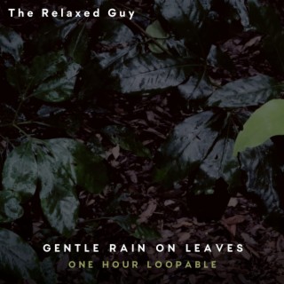 Gentle Rain on Leaves