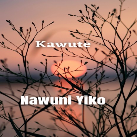 Nawuni Yiko | Boomplay Music