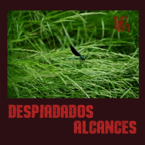DESPIADADOS ALCANCES | Boomplay Music