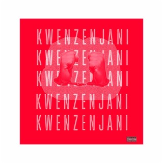 Kwenzenjani (feat. LaSoulz)