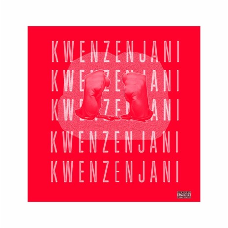 Kwenzenjani (feat. LaSoulz) | Boomplay Music