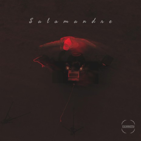 Salamandre