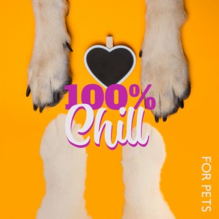 100% Chill for Pets - My Best Friend (Music for Cats & Dogs)