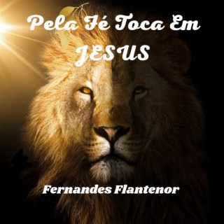 Pela Fé Toca Em JESUS