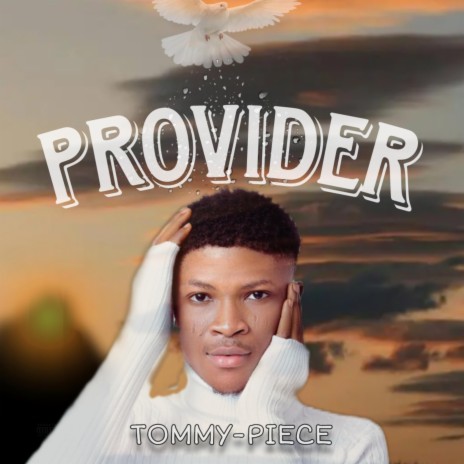 Provider | Boomplay Music