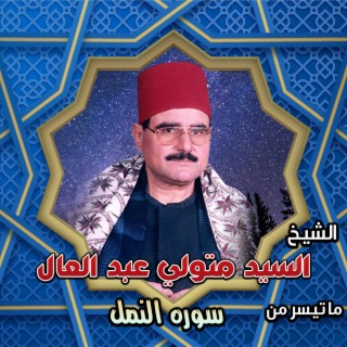 الشيخ السيد متولي عبد العال