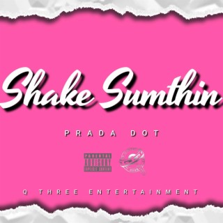 Shake Sumthin