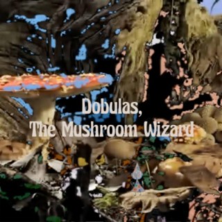 Dobulas, The Mushroom Wizard