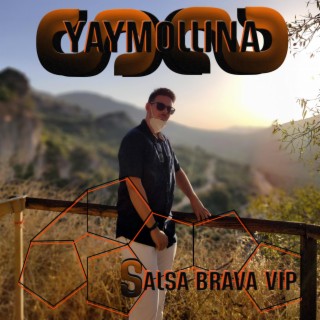Salsa Brava VIP (Radio Edit)