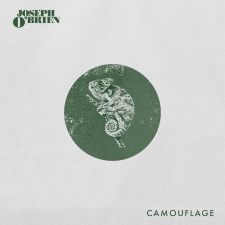 Camouflage | Boomplay Music