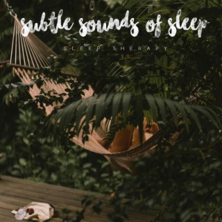 Subtle Sounds Of Sleep (Sleep Therapy)