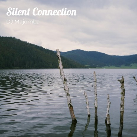 Silent Connection | Boomplay Music