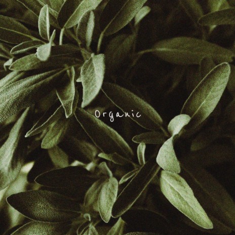 Organic | Boomplay Music