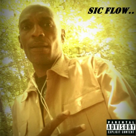 Sic Flow... | Boomplay Music