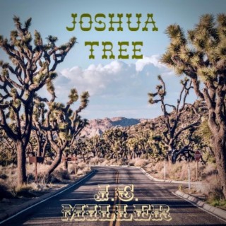 Joshua Tree