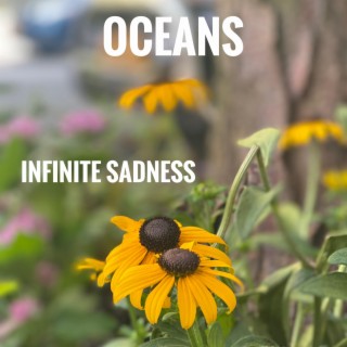 Infinite Sadness lyrics | Boomplay Music