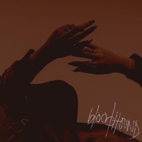 bloodhound | Boomplay Music