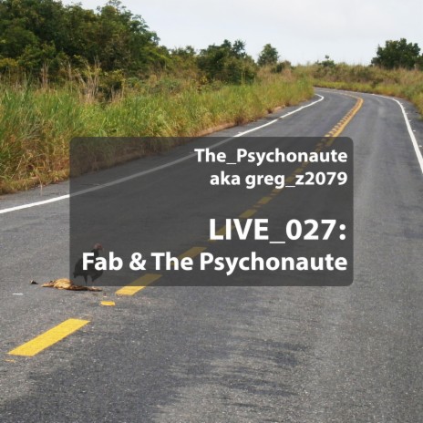 Fab & The psychonaute