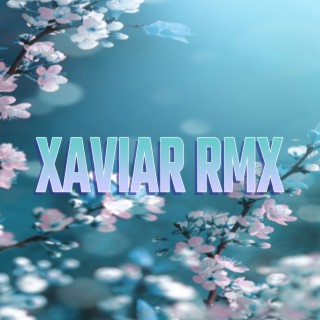 Xaviar Rmx