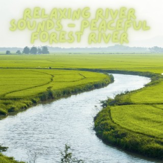 Relaxing River Sounds - Peaceful Forest River with Violin Music in the Background