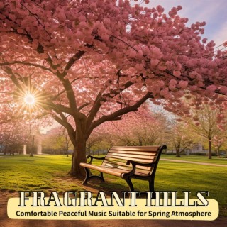 Comfortable Peaceful Music Suitable for Spring Atmosphere