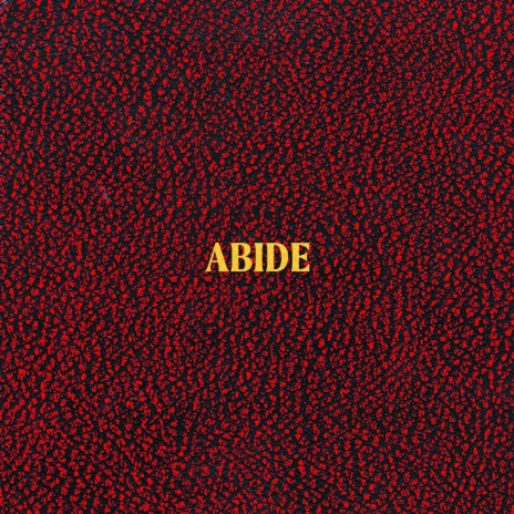 ABIDE | Boomplay Music