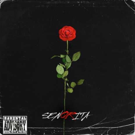 Senorita ft. Samurai Shakz | Boomplay Music