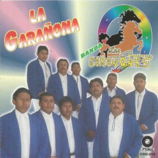 Los Garañones