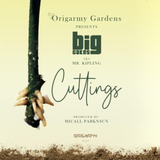 Cuttings