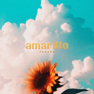 Amarillo lyrics | Boomplay Music